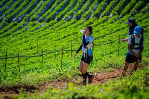 BIB: 
                            <button type="button" onclick="openModal(19162292)" class="btn btn-primary btn-sm float-right btn-popup" data-toggle="modal" data-target=".modal-high-quality">
                        <i class="fas fa-shopping-cart"></i> Add to Cart
                    </button>
                                            <button type="button" onclick="isThisMe(19162292, true)" class="btn btn-success btn-sm float-right btn-popup btn-isme hidden" data-toggle="tooltip" data-placement="bottom" title="นี่คือรูปของคุณใช่ไหม คลิกที่นี่เพื่อเอาเข้าอัลบั้ม">
                        <i class="fas fa-plus"></i> Add to album
                    </button>
                    <button type="button" onclick="isThisMe(19162292, false)" class="btn btn-warning btn-sm float-right btn-popup btn-isnotme hidden">
                        <i class="fas fa-ban"></i> Remove from album
                    </button>